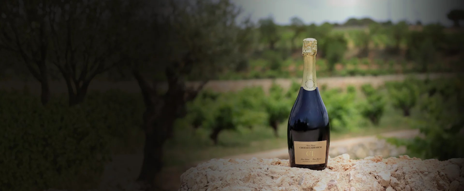 Hero — Fondo (Cava Eterno)